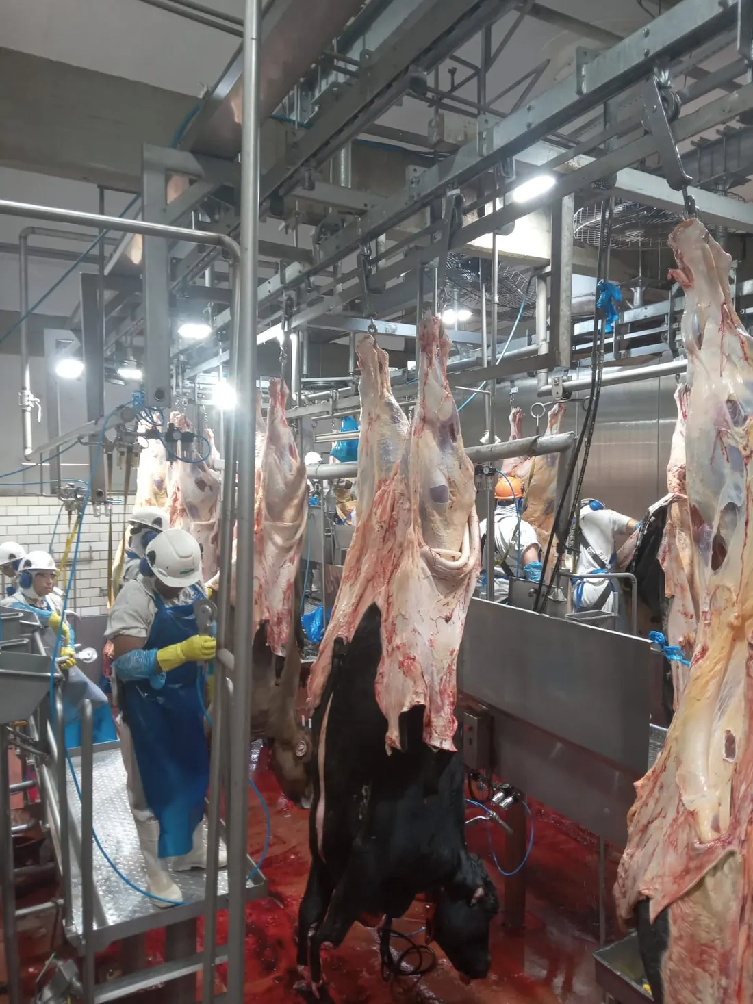 Foto de solução industrial para frigorífico 04