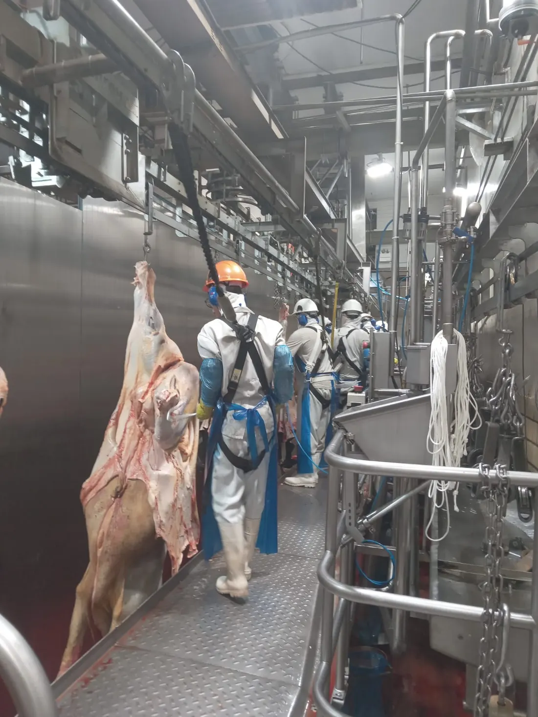 Foto de solução industrial para frigorífico 07